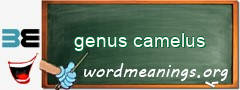 WordMeaning blackboard for genus camelus